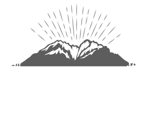 thornhill plumbing and reno footer logo